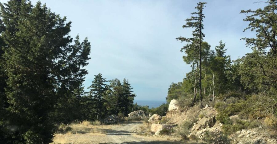 Rhodes South Safari: Mountains & Local Flavors - Practical Details & What to Expect