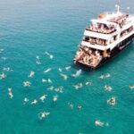 Rhodes Town: Boat Trip to Symi Island and St Marina Bay - What Makes This Tour Stand Out?