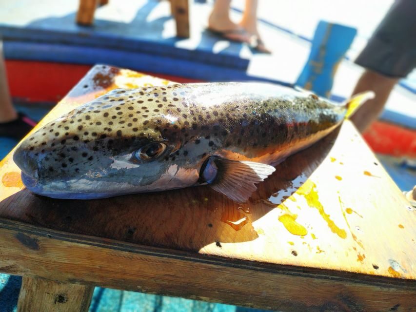 Rhodes Town: Fishing Boat Trip with Fish Meal and Swim Stops - Who Is This Tour Perfect For?