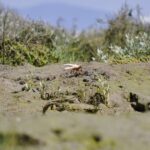 Ria Formosa National Park: Kayak Trip - Who Will Love This Tour?