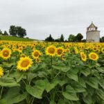 Ribagnac: Nico's gourmet hike - The Experience from the Reviews