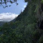 Ribeiro Frio / Portela Full day hike - What Makes This Tour Stand Out