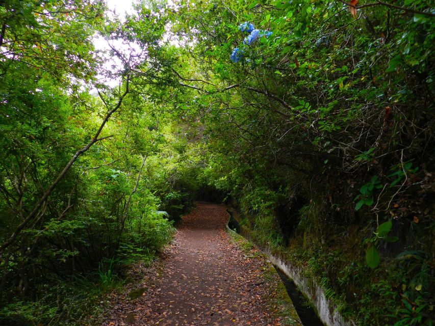 Ribeiro Frio / Portela - Levada Walk - The Sum Up