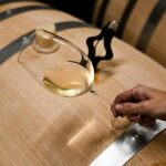 Ribera del Duero: Experience, vineyard and 4x4 mountain, aperitif and tasting. - The Tour Itinerary: What You Can Expect