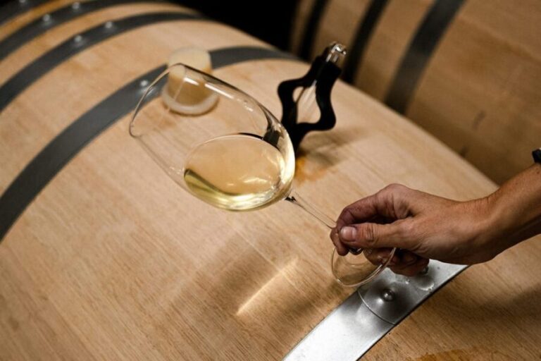 Ribera del Duero: Experience, vineyard and 4x4 mountain, aperitif and tasting. - The Tour Itinerary: What You Can Expect