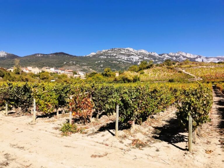 Ribera del Duero wine region private tour - Who Would Love This Tour?
