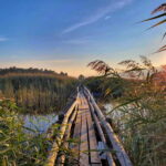 Riga: Best of Kemeri National Park In One Day - Exploring the Kemeri National Park Experience in Depth