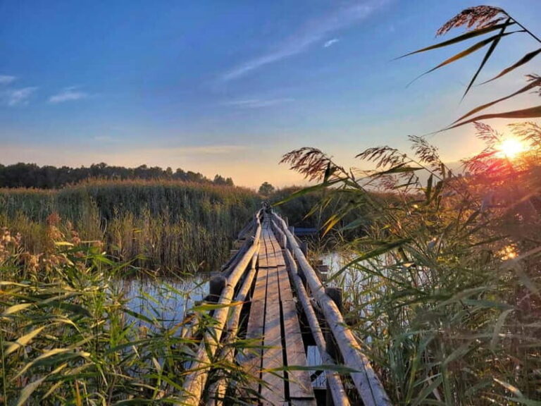 Riga: Best of Kemeri National Park In One Day - Exploring the Kemeri National Park Experience in Depth