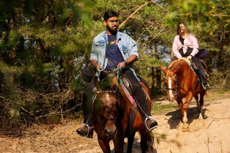 Riga Horse Riding tour along the Beach - Who Will Love This Tour?