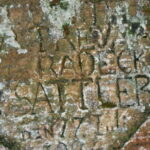 Riga: Private Sigulda, Turaida, and Gauja National Park Tour - The Guide and Transportation