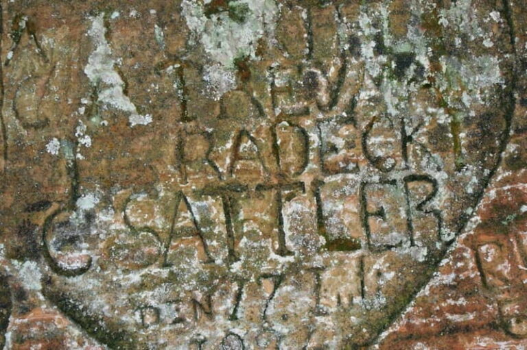 Riga: Private Sigulda, Turaida, and Gauja National Park Tour - The Guide and Transportation