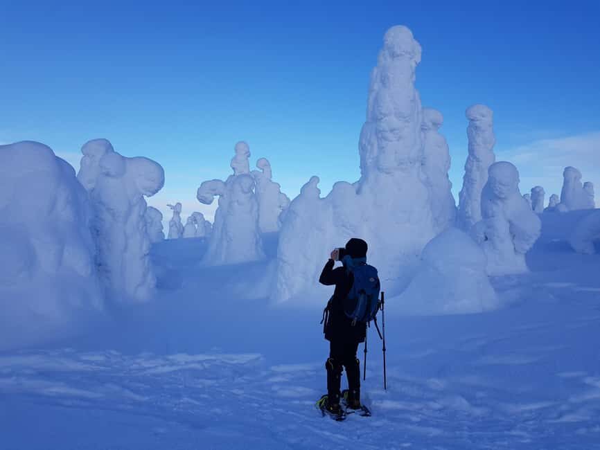 Riisitunturi National Park Snowshoe Adventure - Final Thoughts
