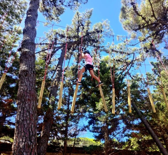 Rimini: Adventure Park Entry Ticket - Authentic Details from Visitors