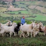 Rimini: San Leo Cashmere Farm Experience - Final Thoughts on the San Leo Cashmere Farm Experience
