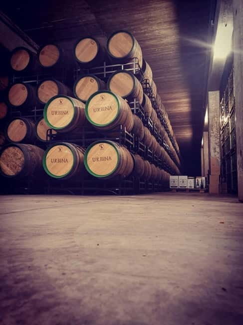 Rioja Wine Tour: 3 Wineries & Pintxos Lunch - Authenticity and Comfort in Every Step