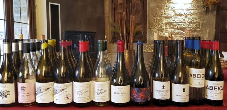 RIOJA: WINE TOUR WITH A WINERY OWNER - Practical Details & Why They Matter