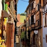 Riquewihr: the pearl of the vineyards with a local guide and tastings - The Region’s Wine and Food Heritage