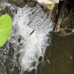 Rize: Ayder Highland Village & Tea Tasting Private Day Trip - The Value of the Tour