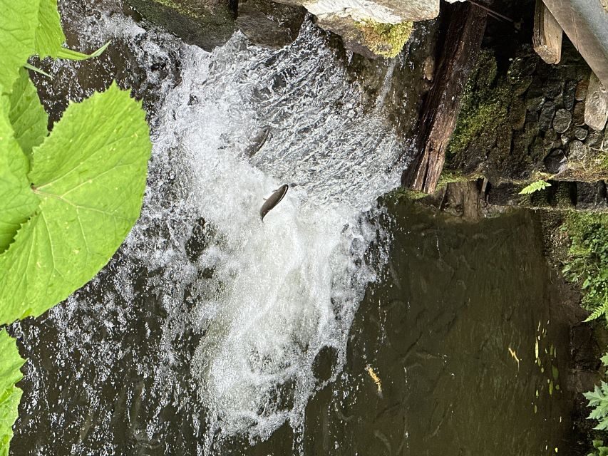 Rize: Ayder Highland Village & Tea Tasting Private Day Trip - The Value of the Tour