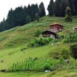 Rize: Ayder Tour & Kaçkar Mountans & Frtna Valley - Practical Insights and What to Expect