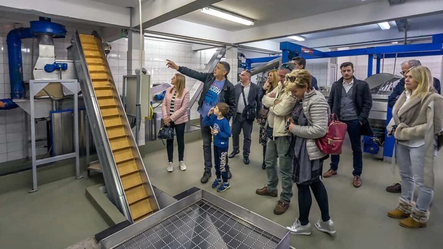 Roga: Solta Island Wine, Honey, and Olive Oil Tasting Tour - Why This Tour Is Worth Considering