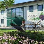 Romagna: Wine Tour with The Winemaker - Who Will Love This Tour?