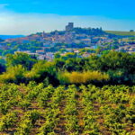 Romans and Wine - Potential Drawbacks or Considerations