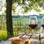 Romantic Road Ticket Würzburg - Rothenburg with Wine Tasting - Practicalities and What You Should Know