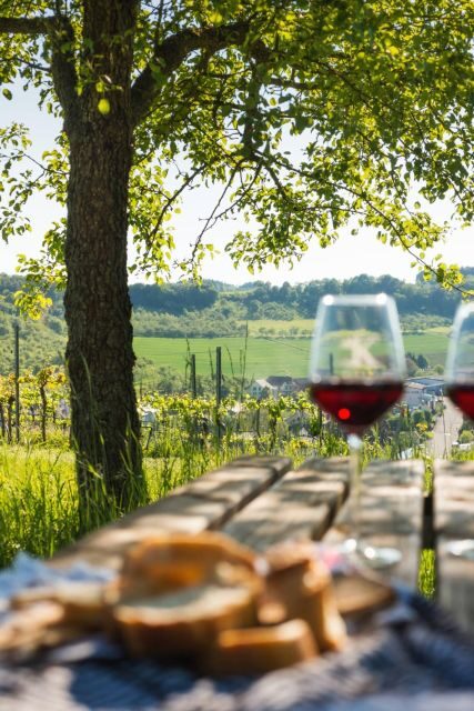 Romantic Road Ticket Würzburg - Rothenburg with Wine Tasting - Practicalities and What You Should Know