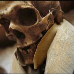 Rome: Capuchin Crypt Experience & Hop-On Hop-Off Transfer - Who Will Love This Tour?