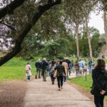 Rome: Colosseum,Forum & Palatine Tour + Optional Arena Floor - The Itinerary Breakdown