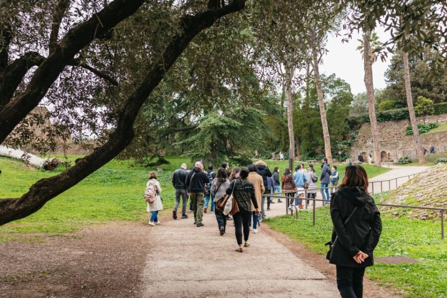 Rome: Colosseum,Forum & Palatine Tour + Optional Arena Floor - The Itinerary Breakdown