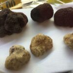 Rome: Food Tour in Trastevere with Dinner & Fine Wine - First Stop: Trapizzino – A Modern Twist on Roman Classics