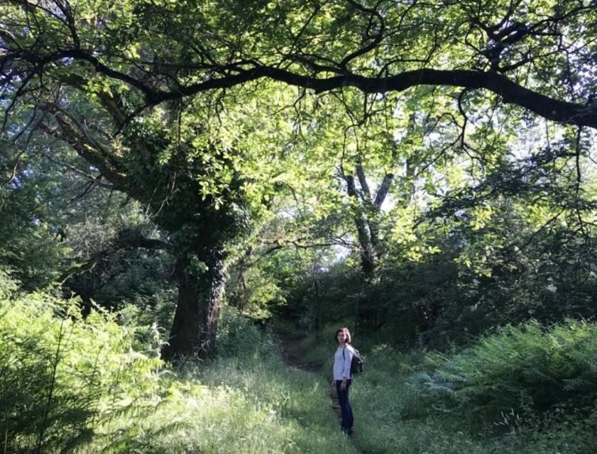 Rome: Forest Bathing Experience - Who Will Love This Experience?