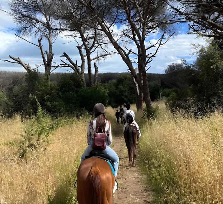 Rome: Horseback Riding Experience in Castel Fusano - What You Can Expect During the Ride
