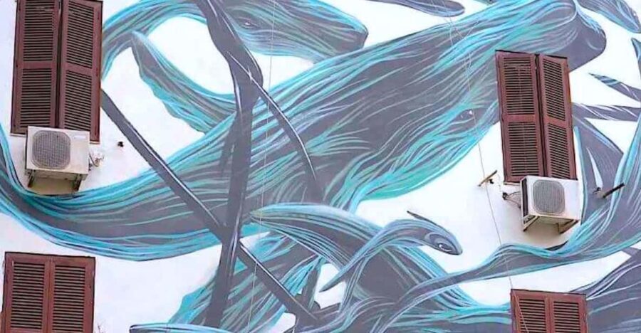 Rome street art tour: off the beaten path with a local guide - Practical Details and Value