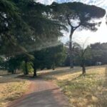 Rome: Sunrise Wellness Walk with Guided Breathwork - Who Is This Experience Best For?