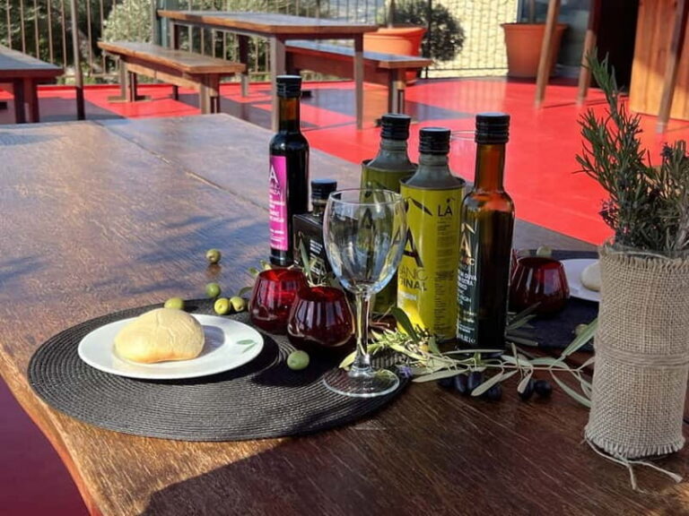 Ronda: LA Almazara LA Organic, Olive Oil Museum and Tasting - An In-Depth Look at the Tour