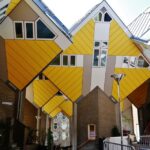 Rotterdam: 2-Hour Guided Walking Tour - Who Will Love This Tour?