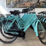 Rotterdam: City Highlights Guided Bike Tour - What to Expect from the Rotterdam Bike Tour