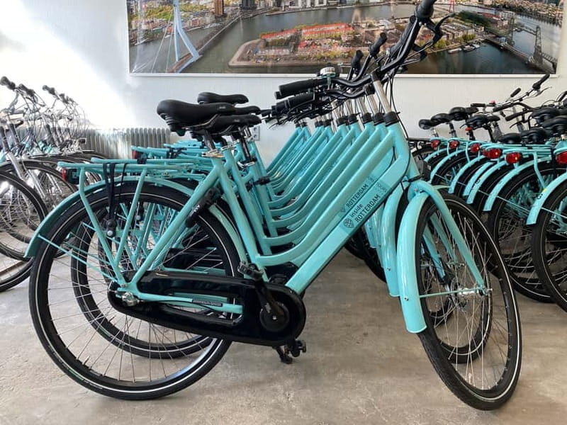 Rotterdam: City Highlights Guided Bike Tour - What to Expect from the Rotterdam Bike Tour