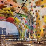 Rotterdam countryside on wheels - bike tour around city - An Authentic Ride Through Dutch Nature