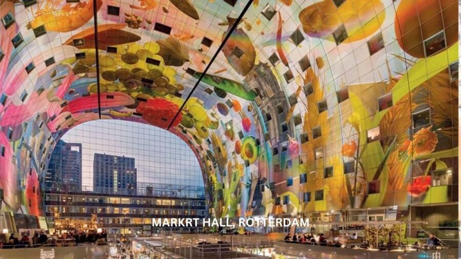 Rotterdam countryside on wheels - bike tour around city - An Authentic Ride Through Dutch Nature