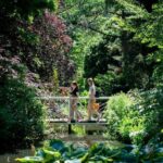 Rotterdam: Trompenburg Botanical Gardens Entry Ticket - How Our Reviewers Felt