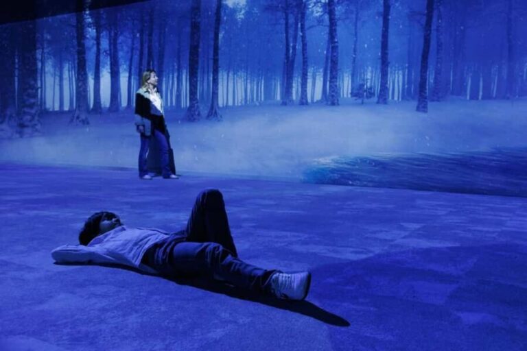 Rouen : Museum Immersive Viking Experience - What to Expect from the Viking Experience