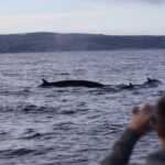 Rounding Cornwall Boat Trip Experience. (Departing Hayle) - Who Is This Tour Best For?