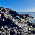 Route guided on the volcanic coast of Lanzarote. - What to Expect: Practical Details