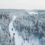 Rovaniemi: 3-Hour Snowmobile Safari in Lapland - The Snowmobile Experience