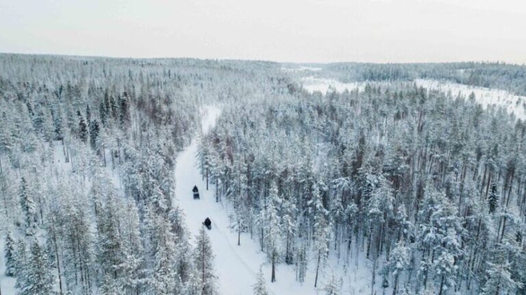 Rovaniemi: 3-Hour Snowmobile Safari in Lapland - The Snowmobile Experience