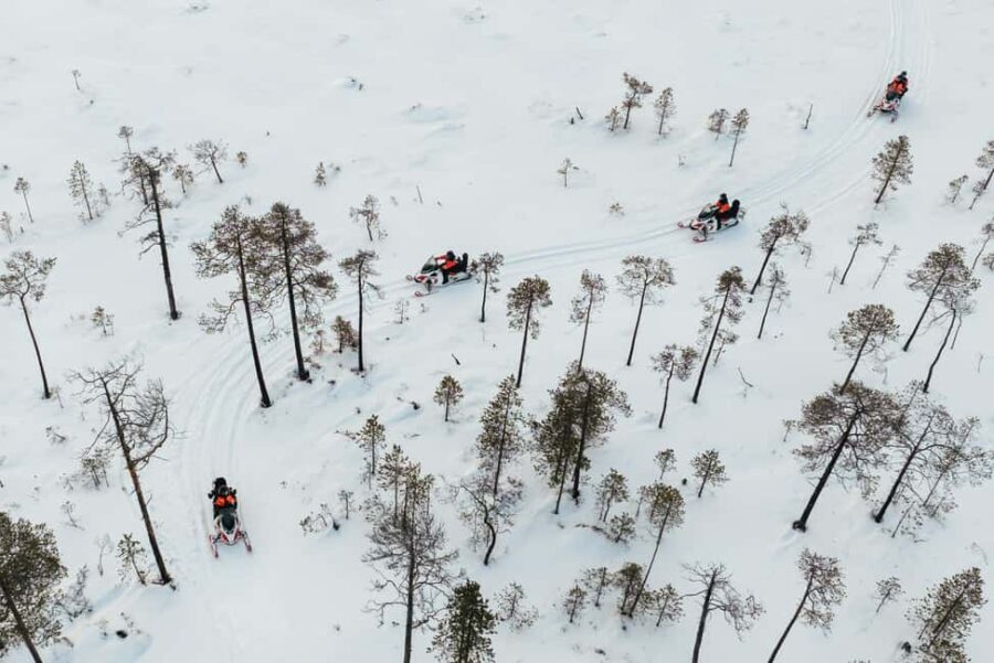Rovaniemi: 4h Electric Snowmobile Safari at Reindeer Farm - What’s Included and What to Know